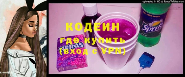 скорость Вяземский
