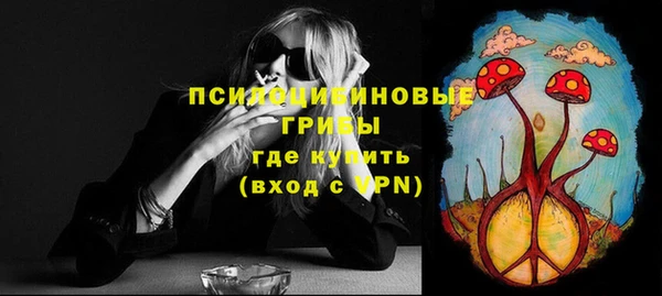 индика Вязники