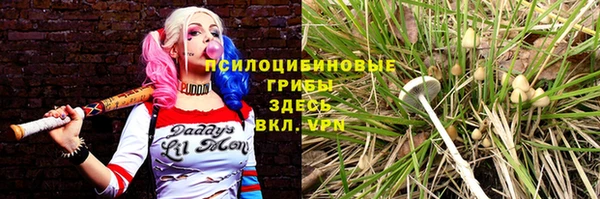скорость Вяземский