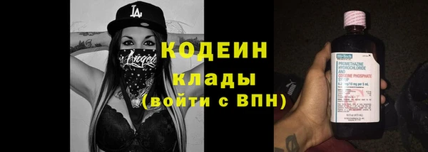 индика Вязники