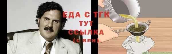 индика Вязники