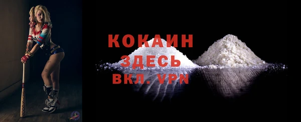 скорость Вяземский