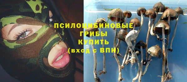 индика Вязники