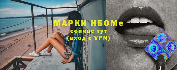 индика Вязники