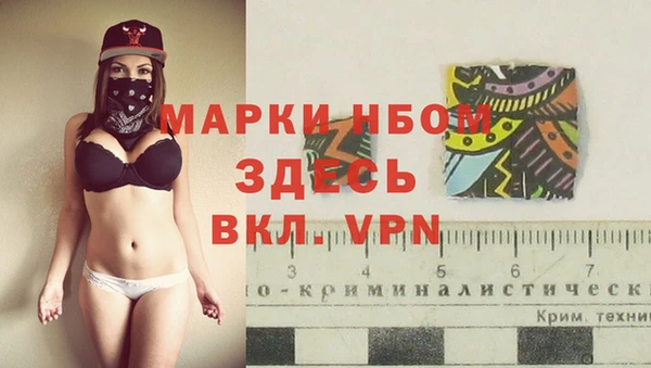 индика Вязники