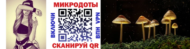 Купить где  Чапаевск  Галлюциногенные грибы мухоморы 